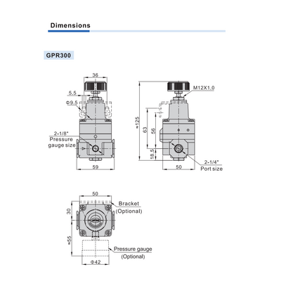 GPR30008MNT AIRTAC PRECISION REGULATOR GPR300 SERIES 1/4" NPT 1-60 PSI MNT BRK